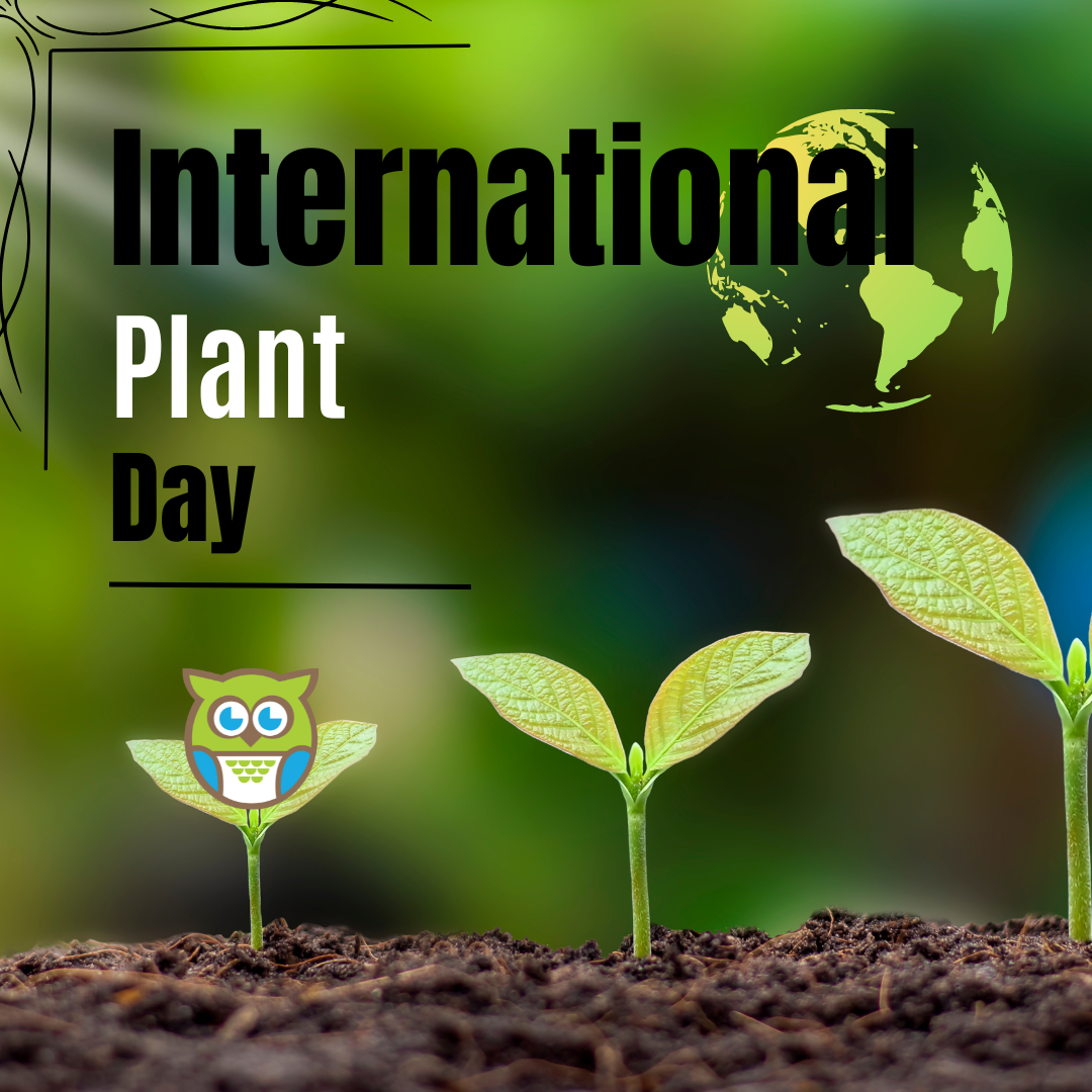 International Plant Day - East Branch