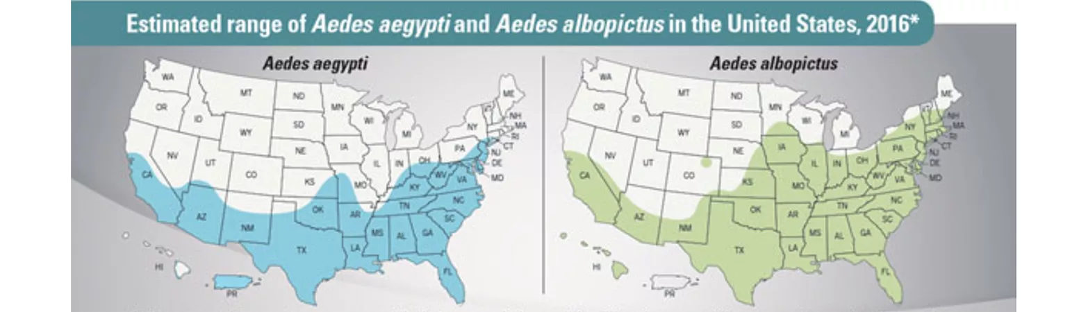 Map of infected mosquitos