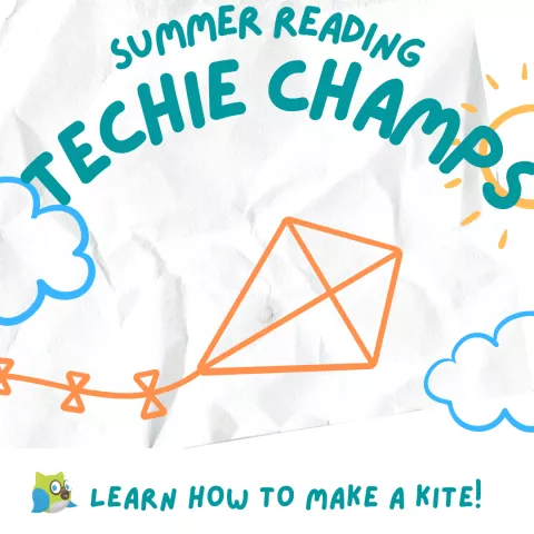 Kites-Kites-Kites! - South Branch